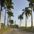 beach_house_carnival_2010_pt1-004