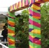 beach_house_mayfair_may16-007