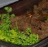 bishops_2010-037