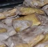 blue_flame_jan23-021