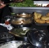 blue_flame_jan23-037