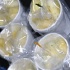 blue_flame_jan23-038