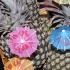 blue_flame_jan23-039
