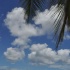 booze_cruise_2010_pt1-194