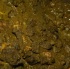 boujoix_jan24-040