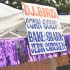 cribs_purple_reign_aug28-004