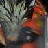 cruz_cocktail_aug1-005