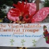 dc_carnival_2010_pt3-048