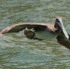 dragon_boat_regatta_mar29-077