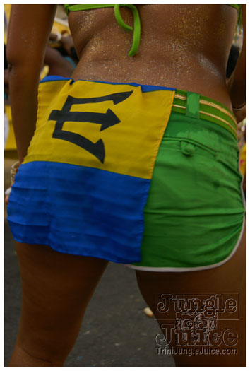 grenada_carnival_mon_aug9_2010-210