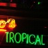 i_love_soca_2010_oct10-051