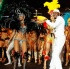 islandpeople_band_launch_2011-269