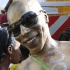islandpeople_mas_2010_monday_part2-141