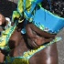 islandpeople_mas_2010_tuesday_part3-027