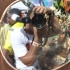 islandpeople_mas_2010_tuesday_part3-034