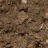 mirage_feb6-092