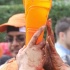 nhc_chocolate_city_2010-049