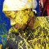 nhc_liquid_gold_2010-088