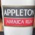 pan_fete_2010_apr7-062