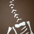 sah_ahh_jul15-043