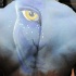 soca_360_jul10-018