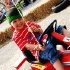 summer_jam_2010_sun-032