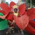 toronto_kiddies_carnival_2010-064
