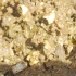 uwi_all_inclusive_2010-066