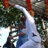 uwi_all_inclusive_2010-112