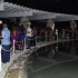 vale_vibe_miami_2010-023