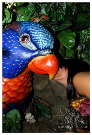 wild_in_the_jungle_jul31-028