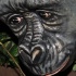wild_in_the_jungle_jul31-002