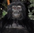 wild_in_the_jungle_jul31-007