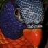 wild_in_the_jungle_jul31-011