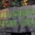wild_in_the_jungle_jul31-021