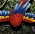 wild_in_the_jungle_jul31-027