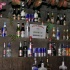 wild_in_the_jungle_jul31-095