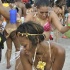 miami_carnival_2011_part6-190