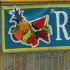 grenada_strongest_man_2011-008