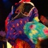 pree_day_2011-209