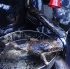 spicemas_jouvert_2011_pt2-152