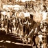 grenada_carnival_tues_2011_pt1-143