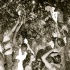 houston_jouvert_jul1-041
