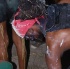 houston_jouvert_jul1-122