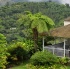bacchanal_ja_extras_2011-029