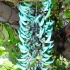 bacchanal_ja_extras_2011-031
