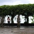bacchanal_ja_extras_2011-054