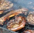 kampai_apr24_2011-067