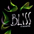 bliss_summer_tour_2011_part1-080