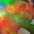 miami_vice_jun18-049
